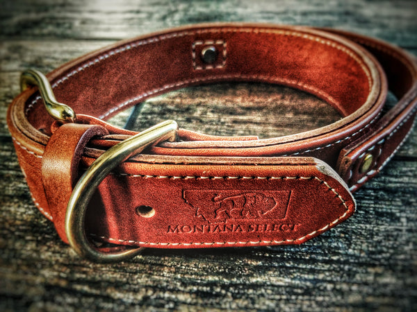 Custom leather collar with solid brass fittings and leather grab handle - Montana Select Premium Pet Products.