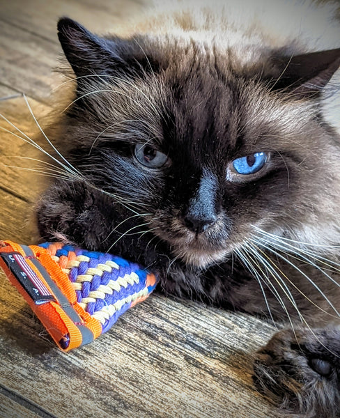 Four pack of multi-color woven catnip toys. (Why buy one when you can get 4)
