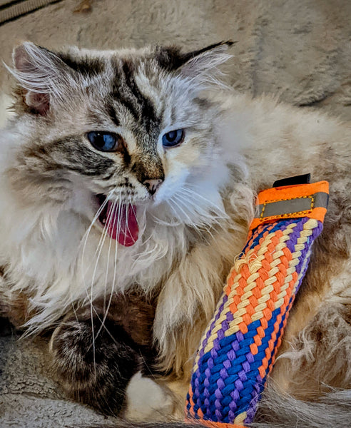 Four pack of multi-color woven catnip toys. (Why buy one when you can get 4)