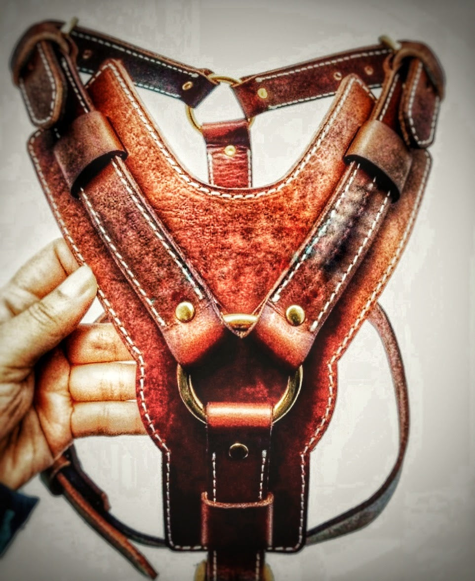 Custom distressed leather harness with solid brass fittings - Montana Select Premium Pet Products.
