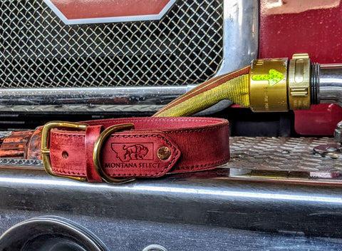 Custom distressed red leather dog collar with solid brass fittings - Montana Select Premium Pet Products.